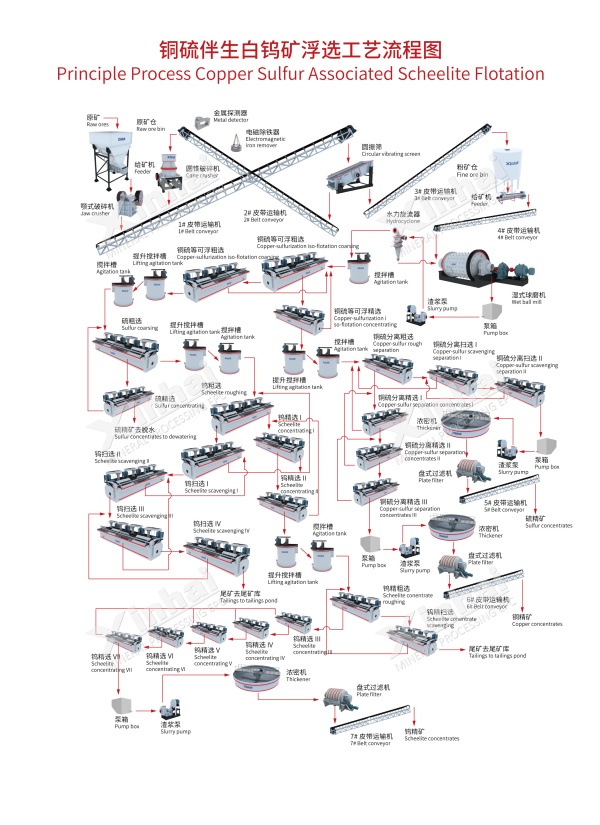铜硫伴生白钨矿工艺流程图